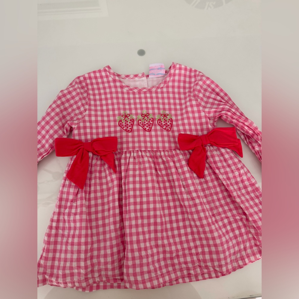 Stitchy Fish Pink Gingham Tunic with Strawberry Embroidery